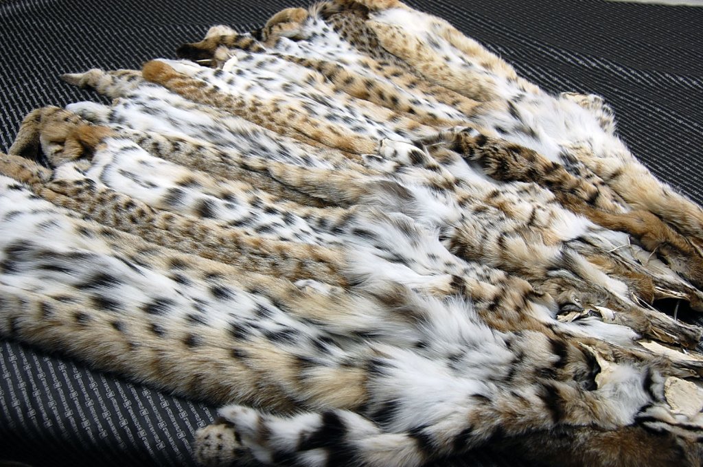 毛皮原料販売ケガワコム