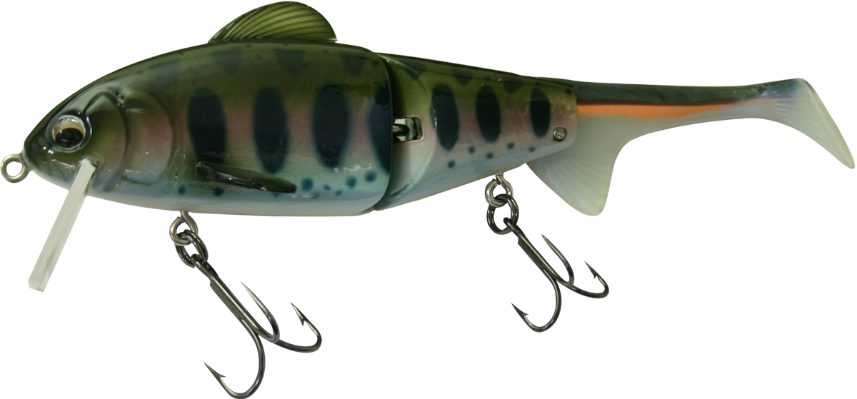 COFUNAZZY コフナジー ｜ IMAKATSU ｜