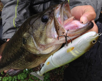 SG Plus Bigroid 210 SGプラス ビッグロイド 210 ｜ IMAKATSU ｜