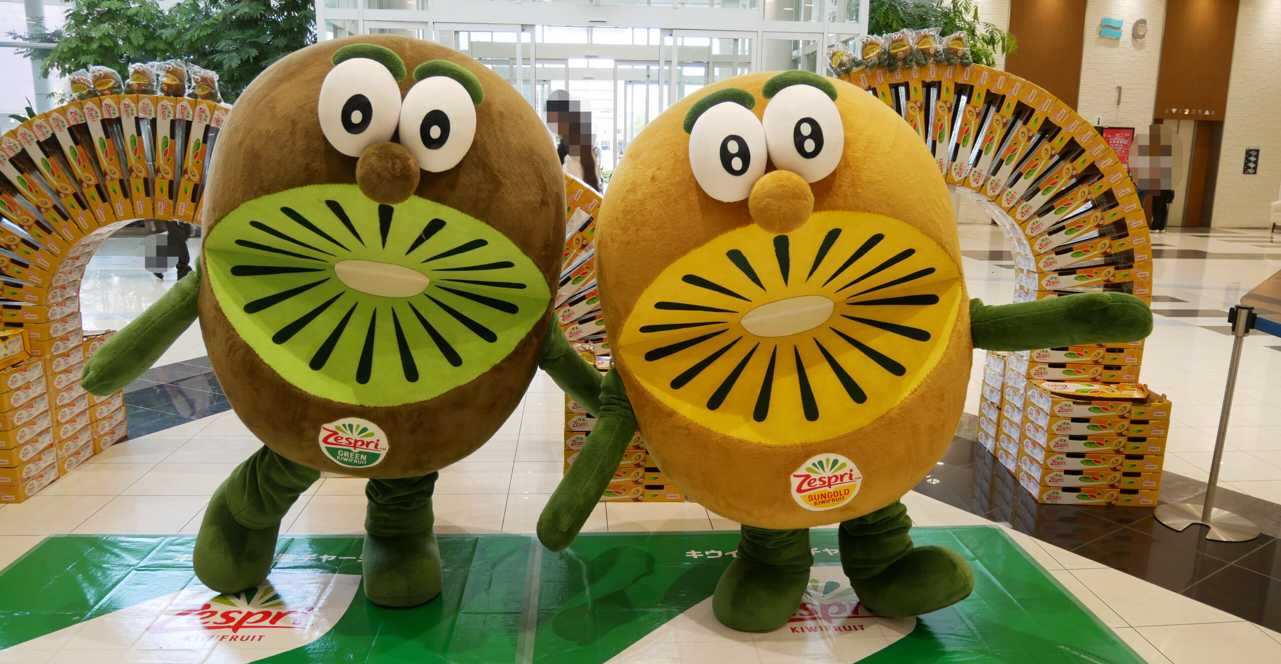 ゼスプリのキウイブラザーズ写真集｜ゆるキャラ