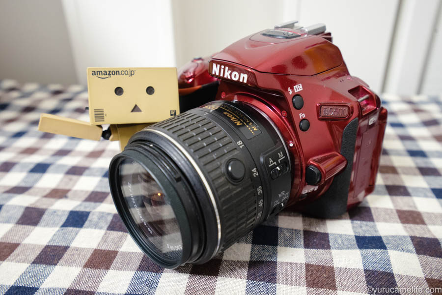 D5500を手にして1年が経ったので、その魅力を思う存分語り尽くしてみる