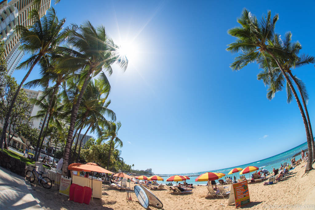 フルサイズ魚眼ならこれ！SIGMA 15mm F2.8 EX DG DIAGONAL FISHEYEの