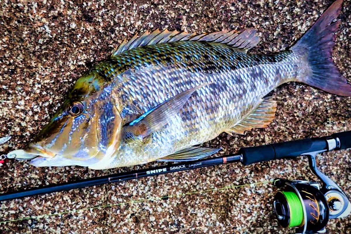 SNIPE - ZENAQ(ゼナック) | オフィシャルサイト