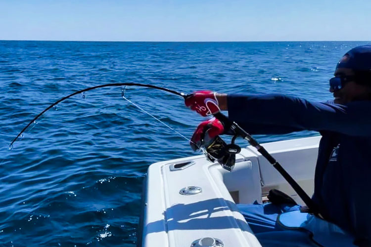 FOKEETO IKARI – DBL New - ZENAQ | Official-Web