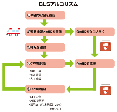 BLSとは？ - NPO法人日本ACLS協会 ガイド