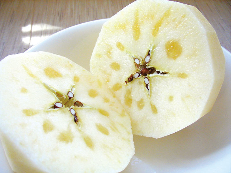 青森南部産「濃厚りんご」サンふじ｜善八のおとりよせ