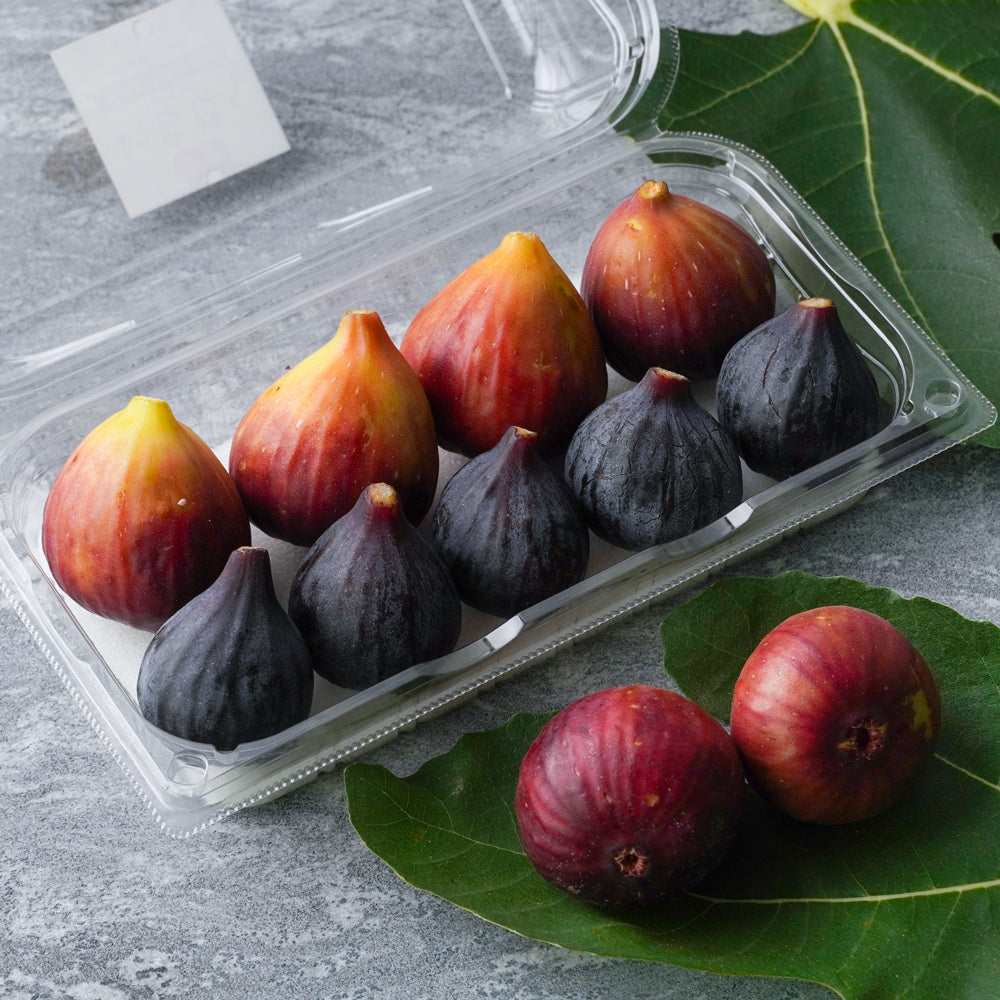 絶品 生いちじく（桝井ドーフィン）＆幻の黒いちじく ブラック