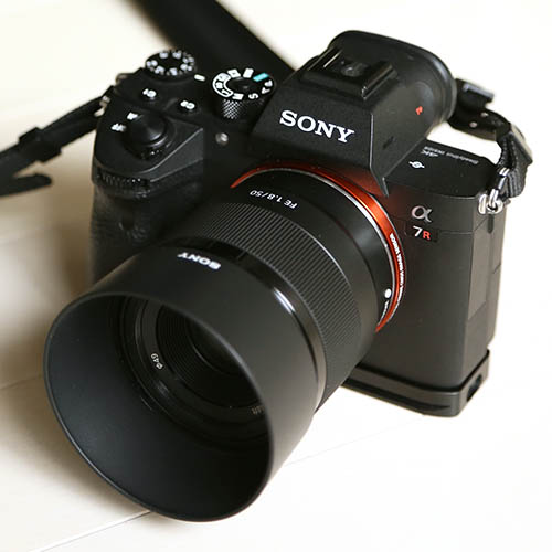 SONY FE50mm/f1.8 を購入、ちょっと残念なレビューもありますが… - air