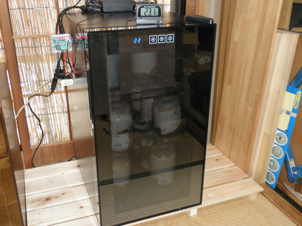 クワガタの低温管理にはワインセラーがおすすめ？