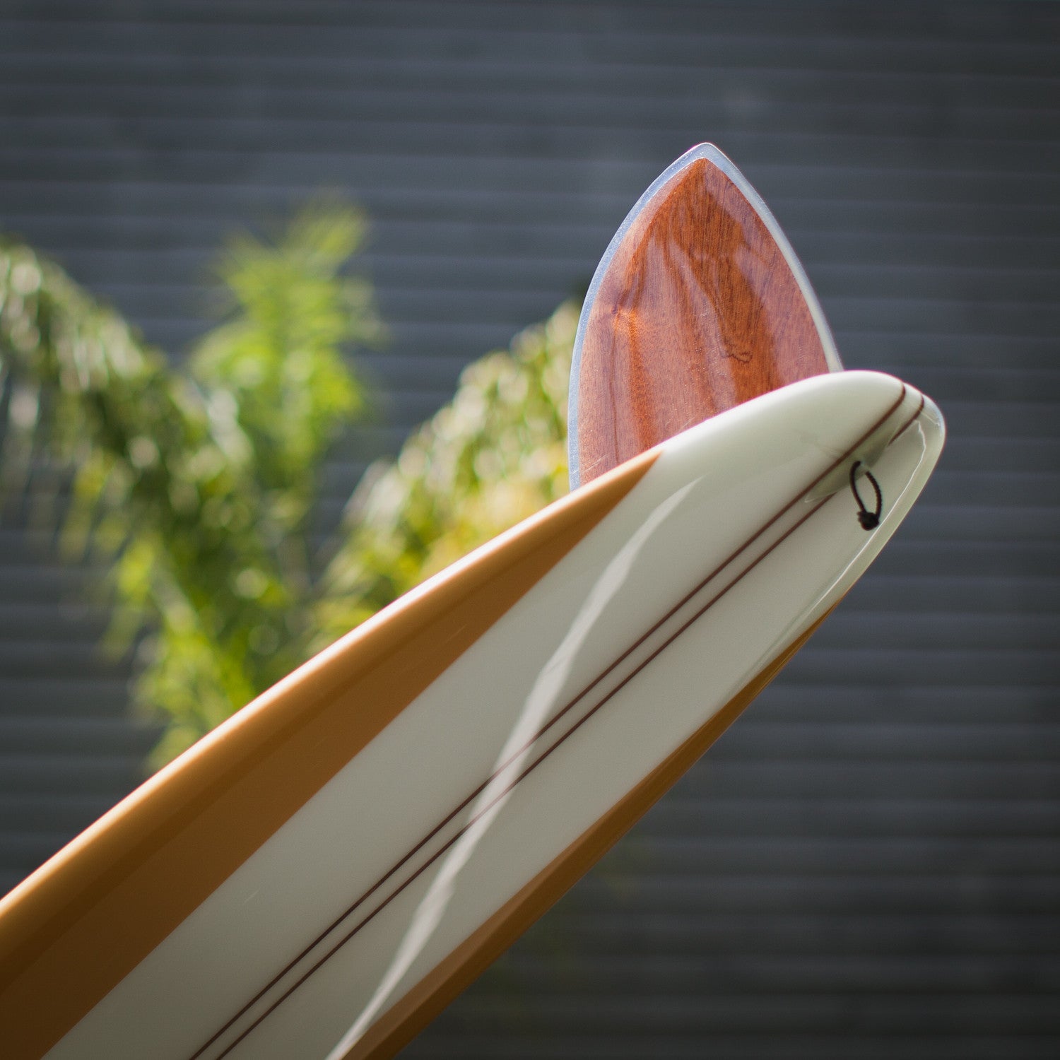 The Surf Thump – Almond Surfboards & Designs