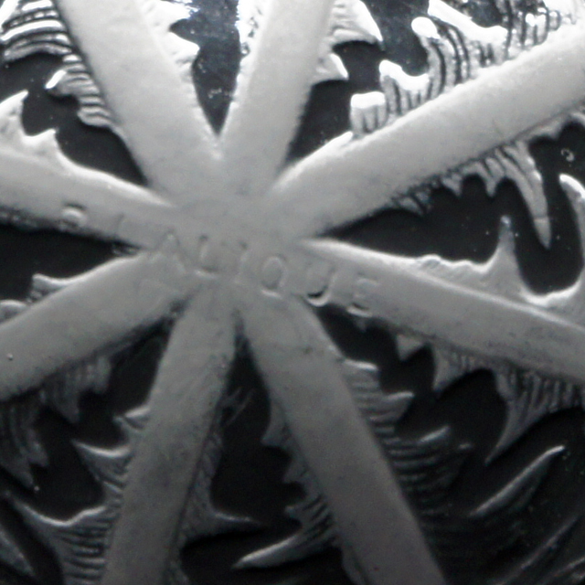 タンポポ PISSENLIT 鉢《アンティックかとう》