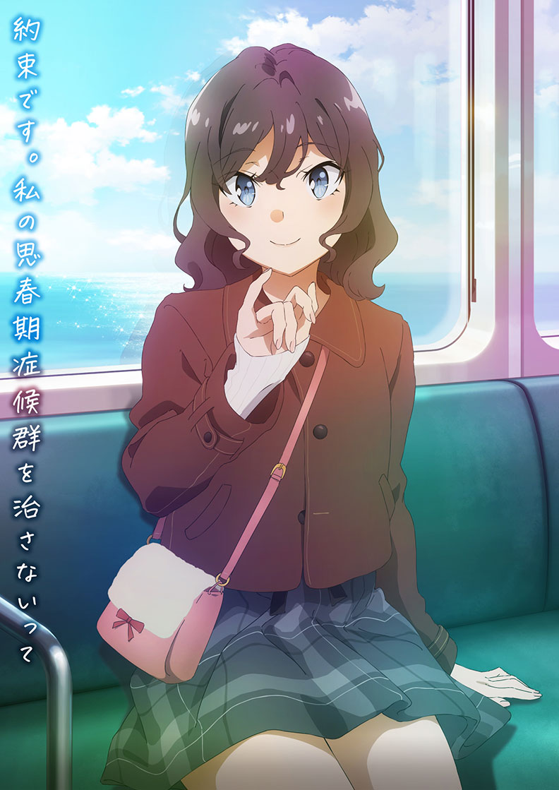 青春ブタ野郎はサンタクロースの夢を見ない