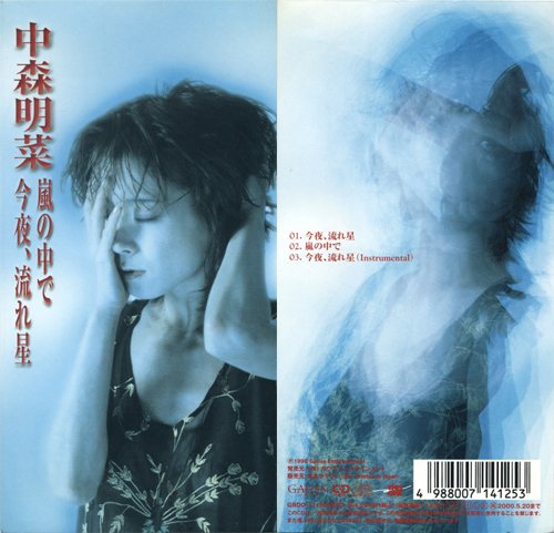 今夜、流れ星」プロモーションビデオ | AKINA NAKAMORI FUN SITE（中森