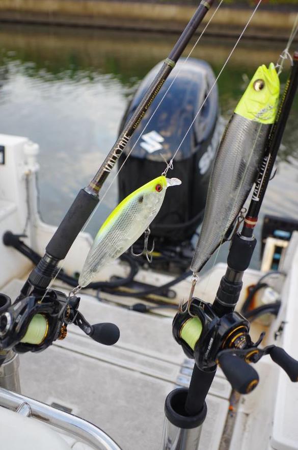 シーバスフィッシングコノシロパターンのルアーセレクト | ANGLERS TIME
