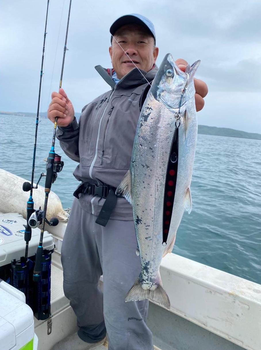 オフショア講義北海道サクラマスジギング準備。人気のサクラマス