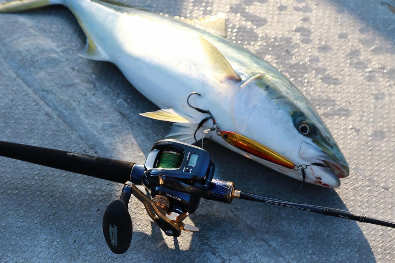 大型魚にも対応するライトジギングICリールDAIWA・ティエラ LJ IC