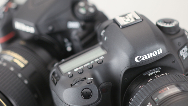 ASCII.jp：ニコン「D800」＆キヤノン「EOS 5D Mark III」の画質総