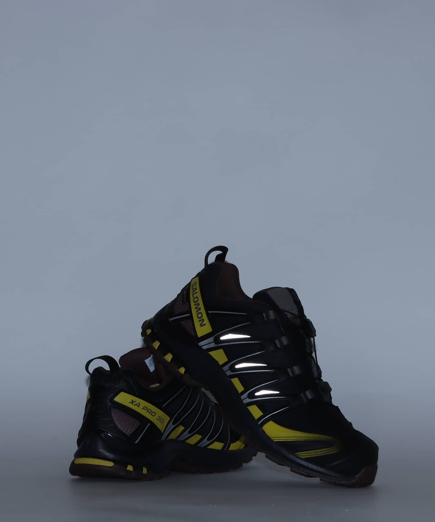 SALOMON XA PRO 3D GTX Black/Cress Green/French Roast（サロモン