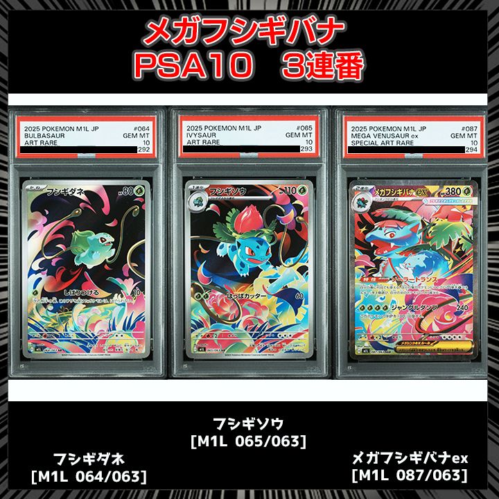 PSA連番】メガフシギバナ 進化ライン3枚セット PSA10】メガフシギバナ
