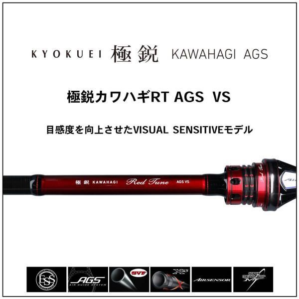 極鋭 カワハギ レッドチューン AGS VS - メルカリ