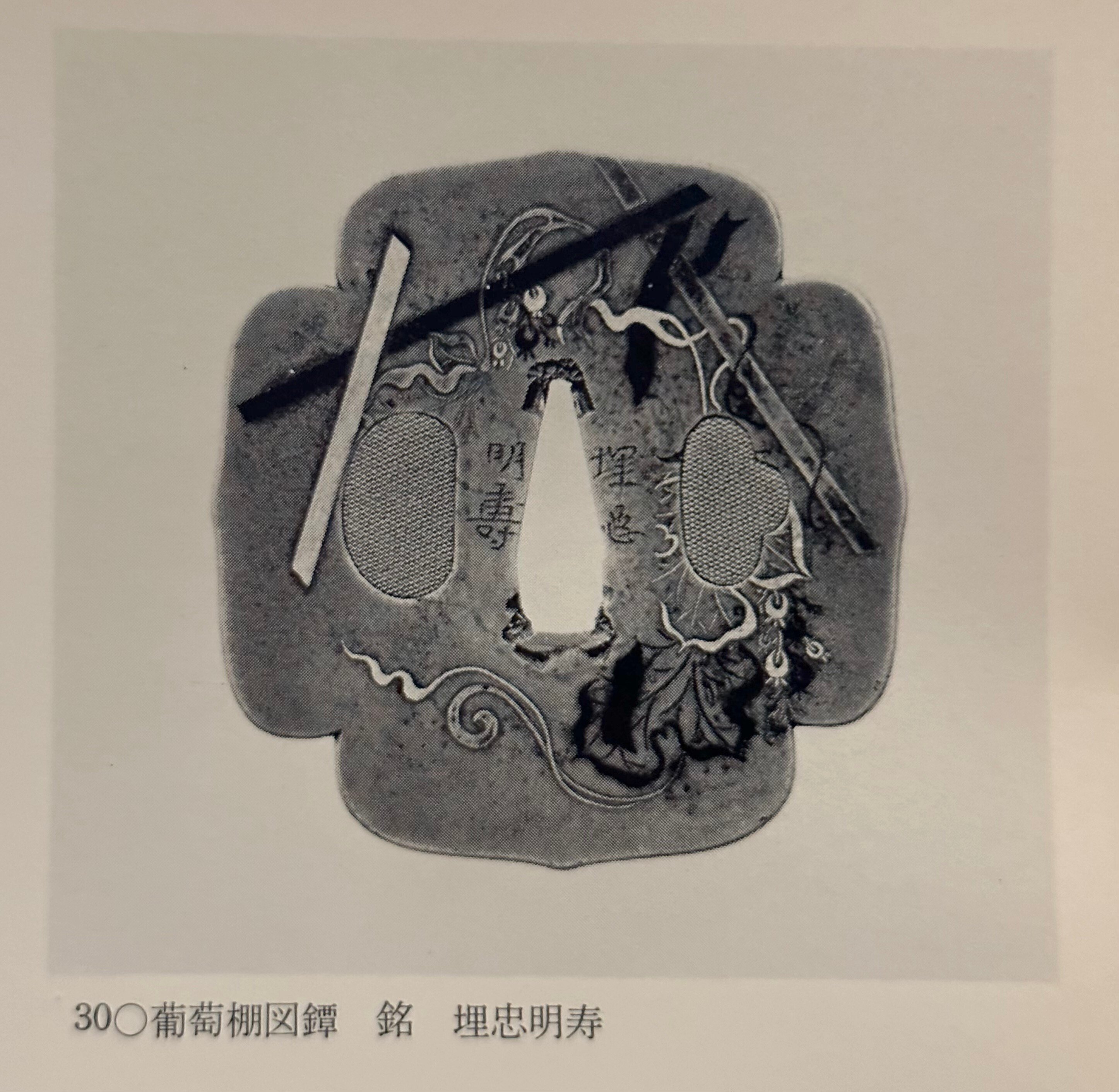 埋忠明寿以外の九年母図鐔の作柄について｜刀箱師の日本刀ブログ 中村圭佑