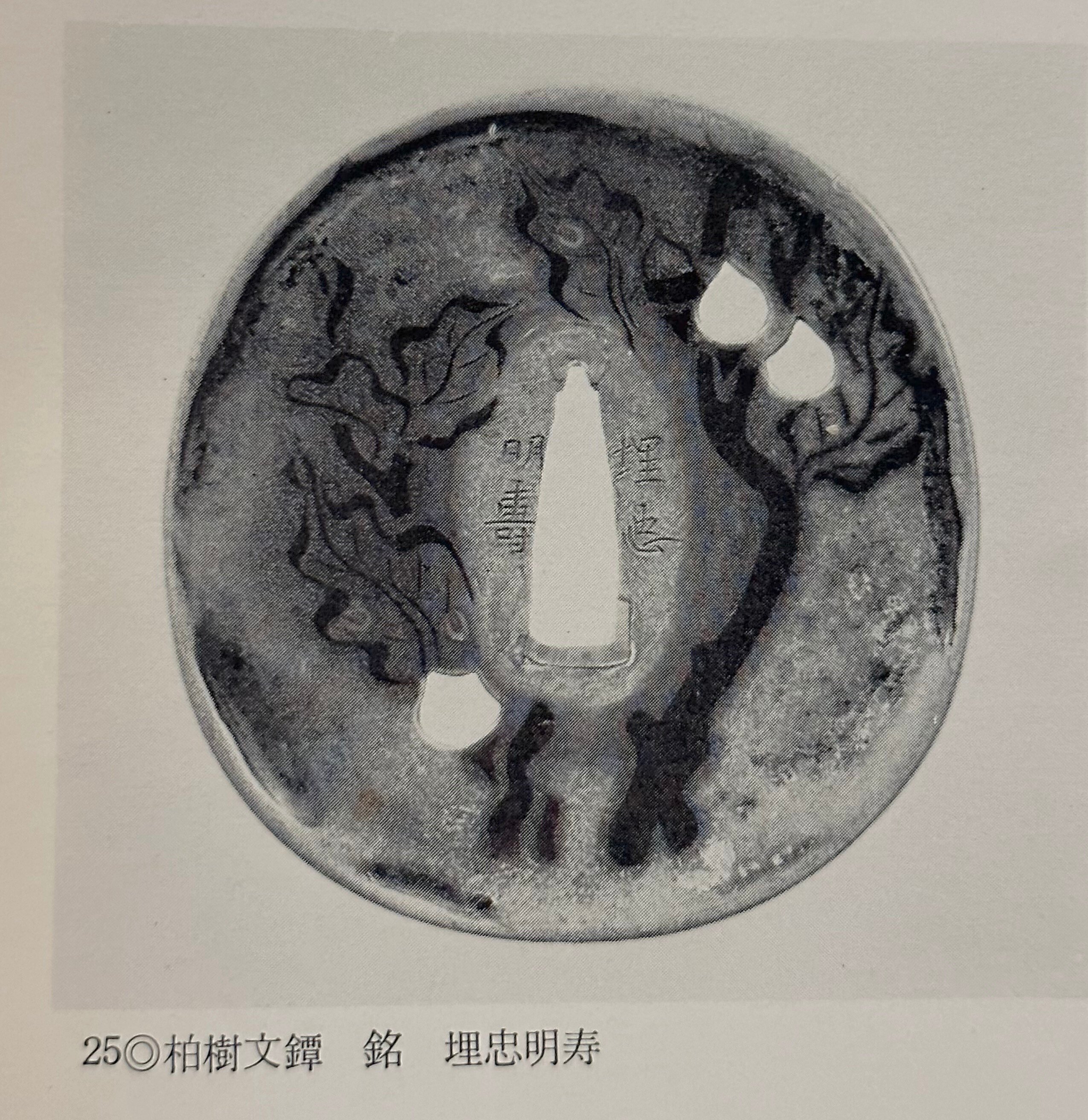 埋忠明寿以外の九年母図鐔の作柄について｜刀箱師の日本刀ブログ 中村圭佑