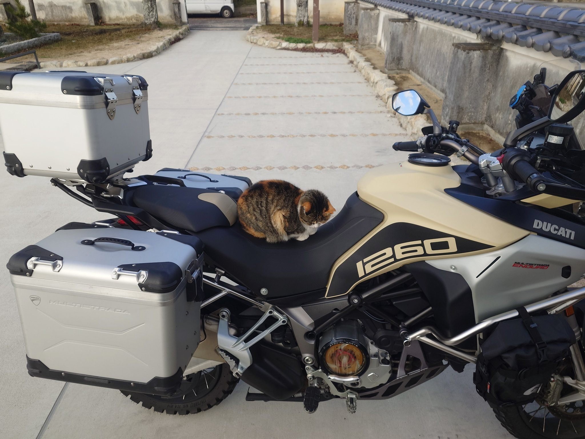 大型バイクを止めて戻ってきたら…猫が座っていた！ドゥカティの座席で