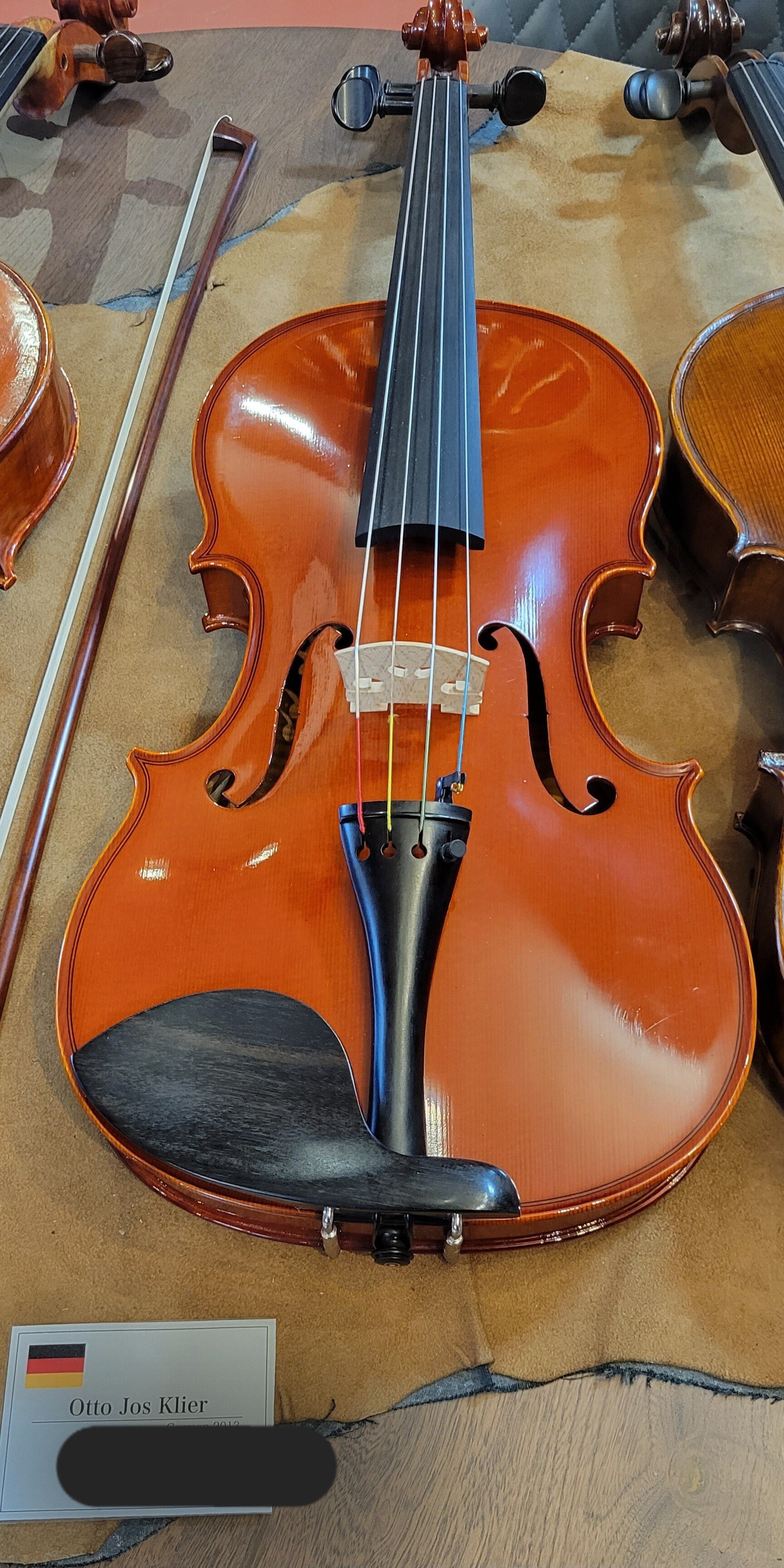 ヴィオラを探す旅｜Sakura