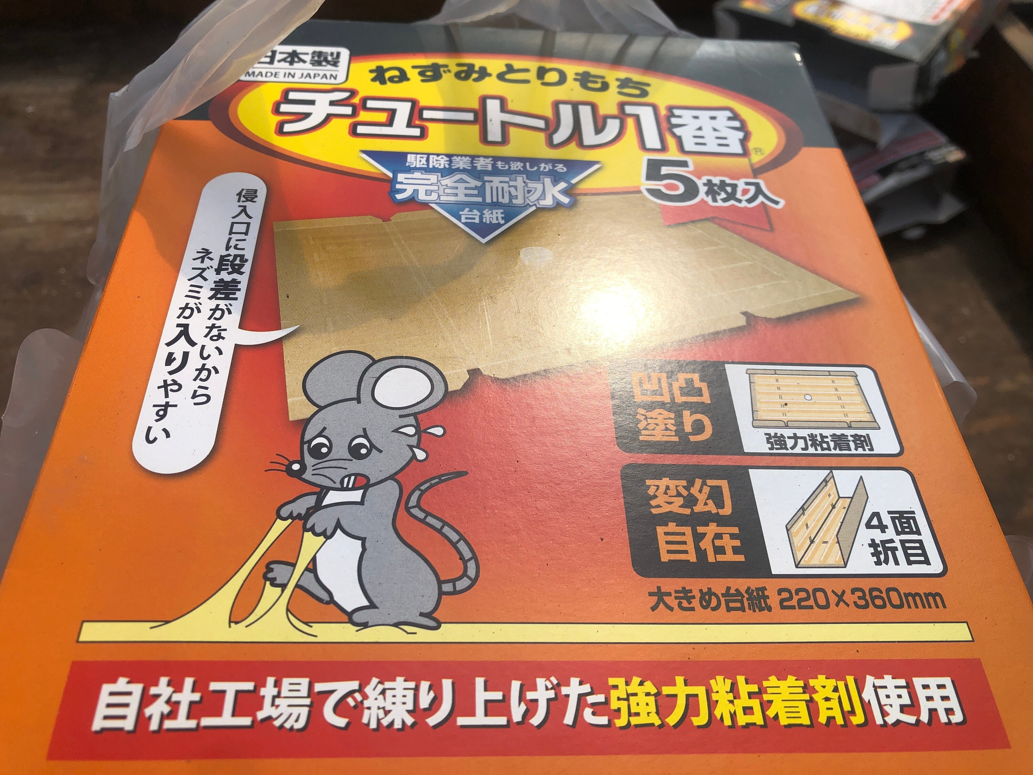 仁義なきネズミとの戦い、さいこうファーム育苗ハウス編、開戦｜吉田