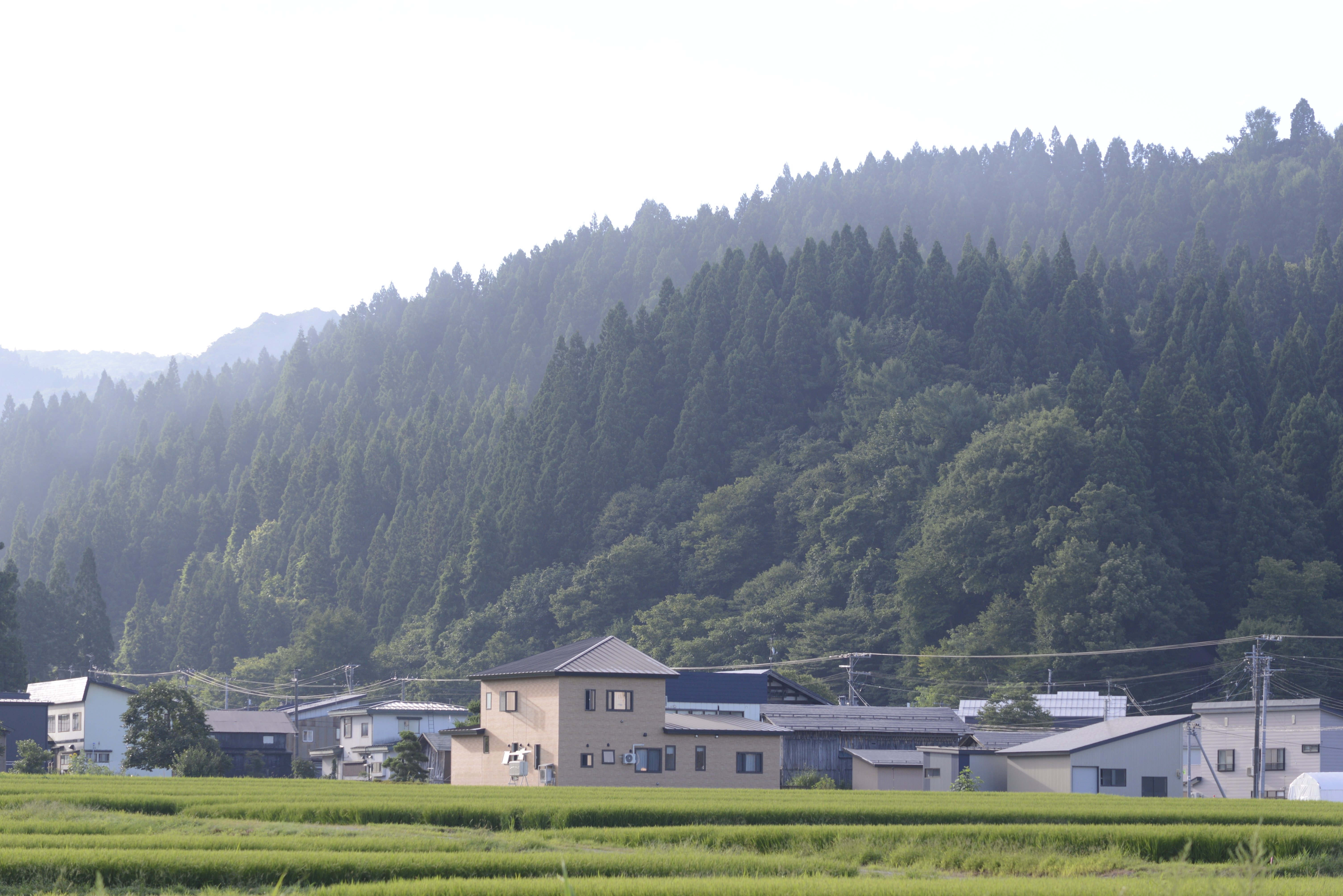 AI AF Zoom-Nikkor ED 70-300mm F4-5.6D｜硝子窓