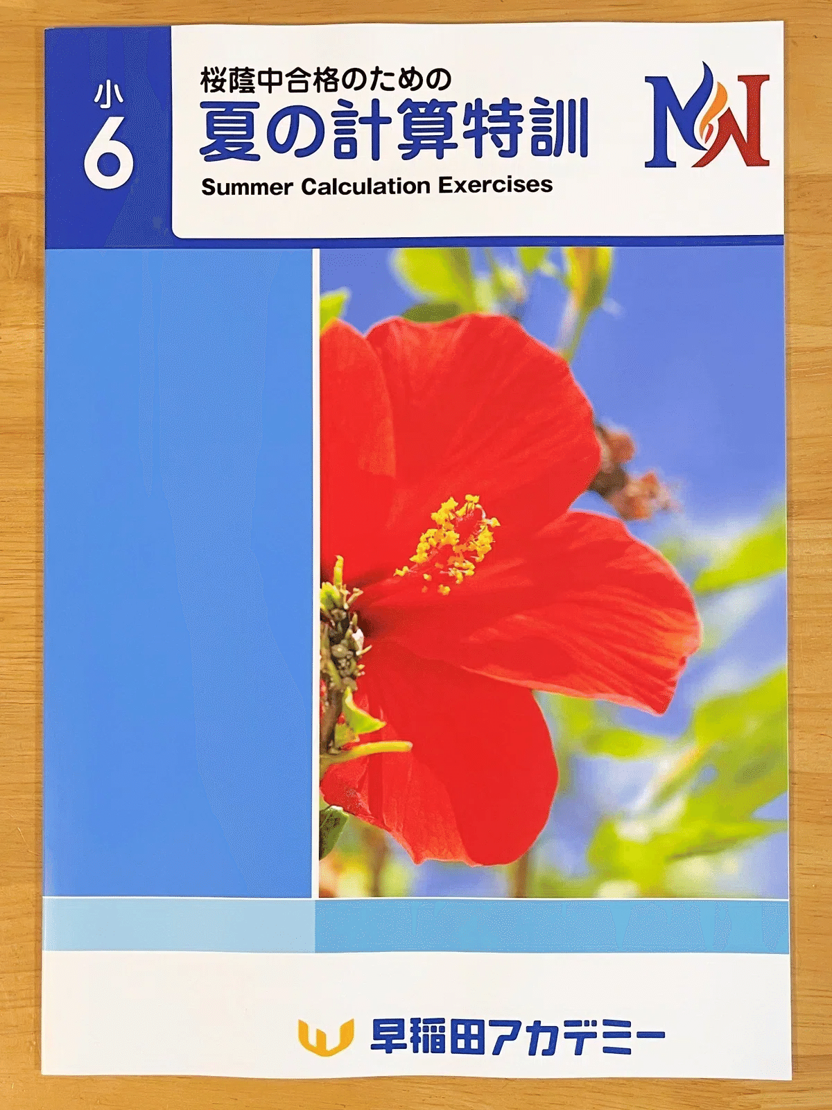 専用 ㉒ 土曜特訓6年 社会 理科 Weekly Sapix 志望校別特訓 専用 ㉒ 土曜