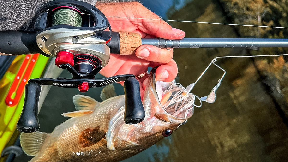 Fenwick Elite Bass Casting Rod: Test and Review - Wired2Fish