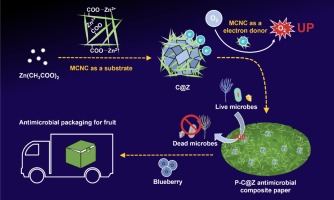 Carboxylated cellulose nanocrystals mediated flower-like zinc