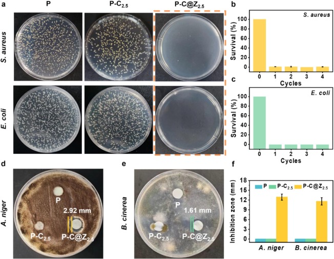 Carboxylated cellulose nanocrystals mediated flower-like zinc