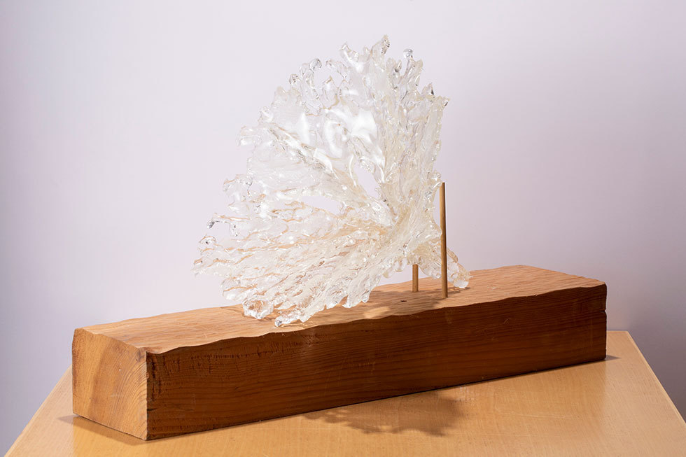 Glass Wonderland」藤原信幸先生によるみどころ解説 | 藝大アートプラザ