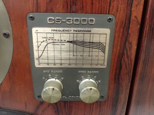 高額買取実施中!!】Pioneer パイオニア CS-3000 ペア