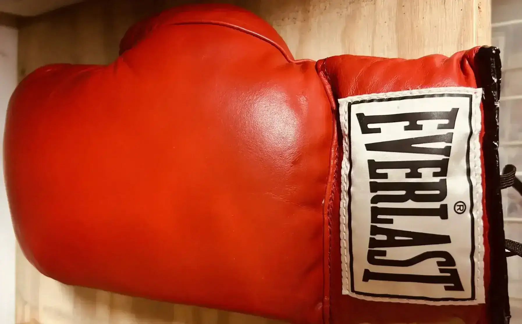 エバーラスト レッドレザー ボクシンググローブ 左手用 新品