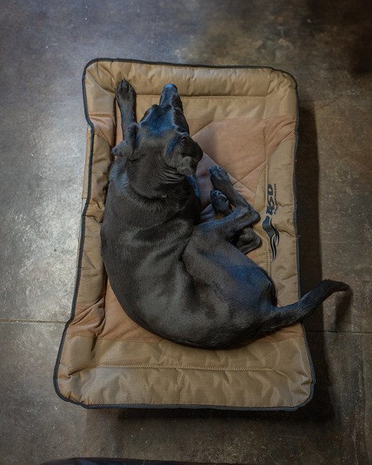 PWK01703.png?v=1752251197&