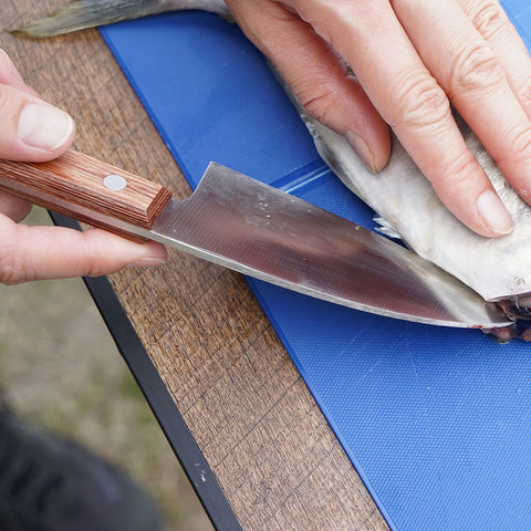 MP-186 フィッシング小出刃105mm(PCケース付) – ベルモント オンライン