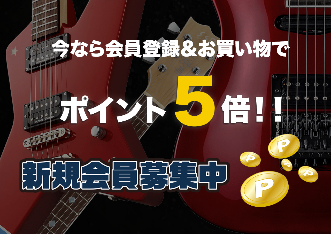 Seymour Duncan(セイモアダンカン) Quarter-Pound™ Flat Strat [SSL-4