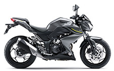 ZZ-R250(EX250H) -since 1990- - バイクの系譜