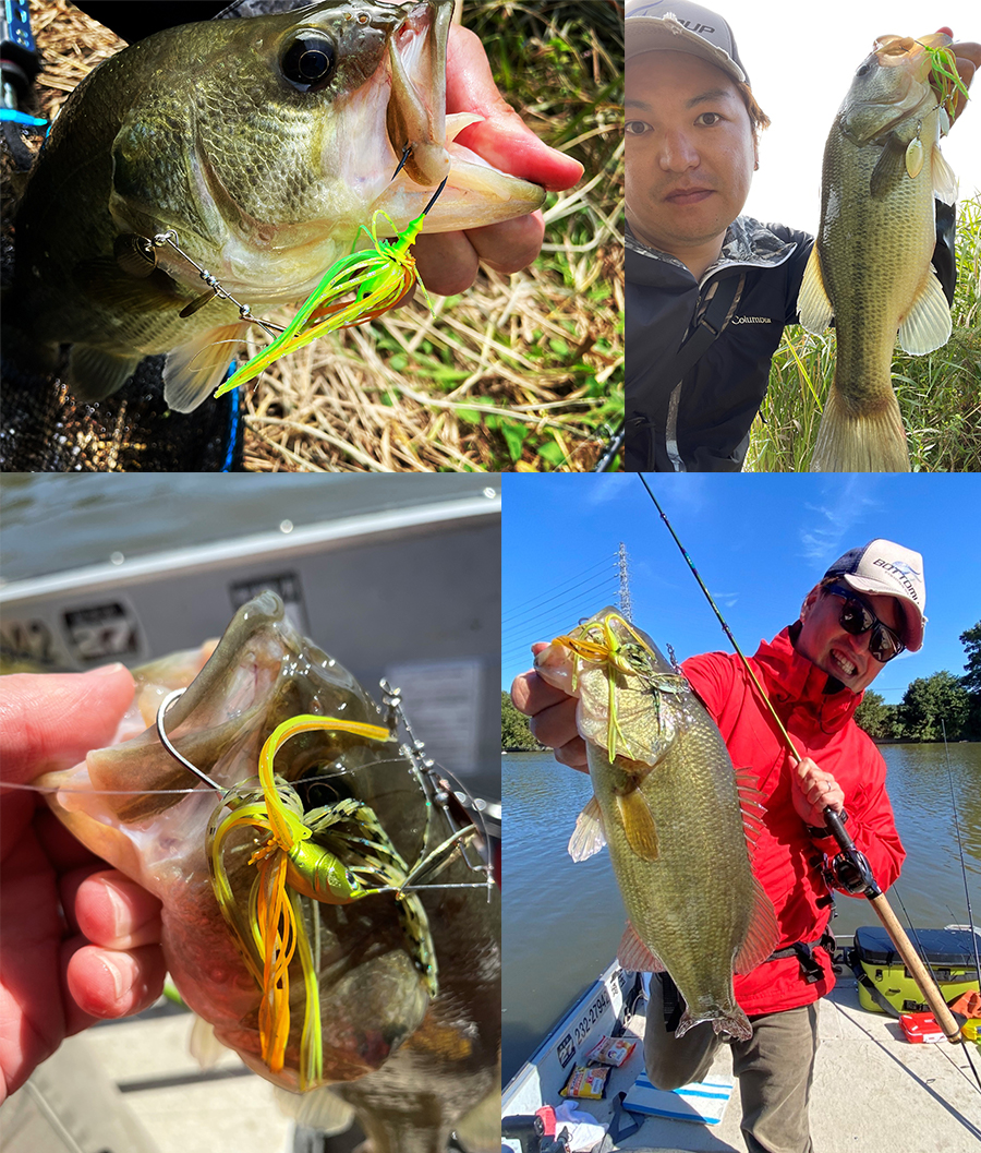 水色に合わせたカラーセレクトの重要性！！』 – Bottomup(ボトムアップ