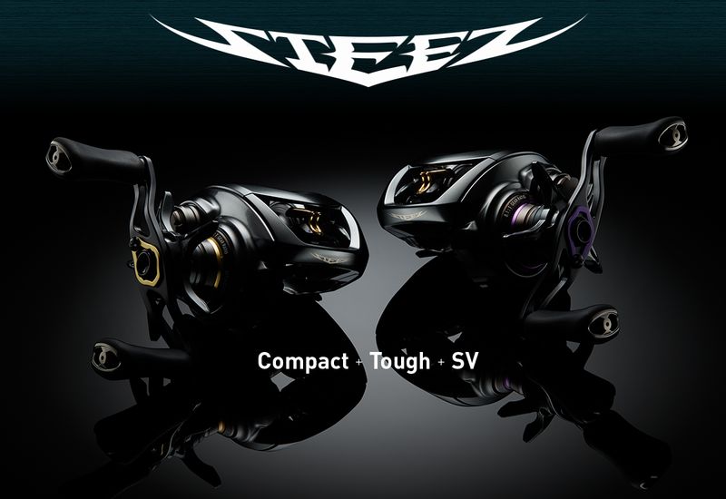 コンパクト＆タフ】 ダイワ 19 スティーズ CT SV TW ｜ blog@lurestyle