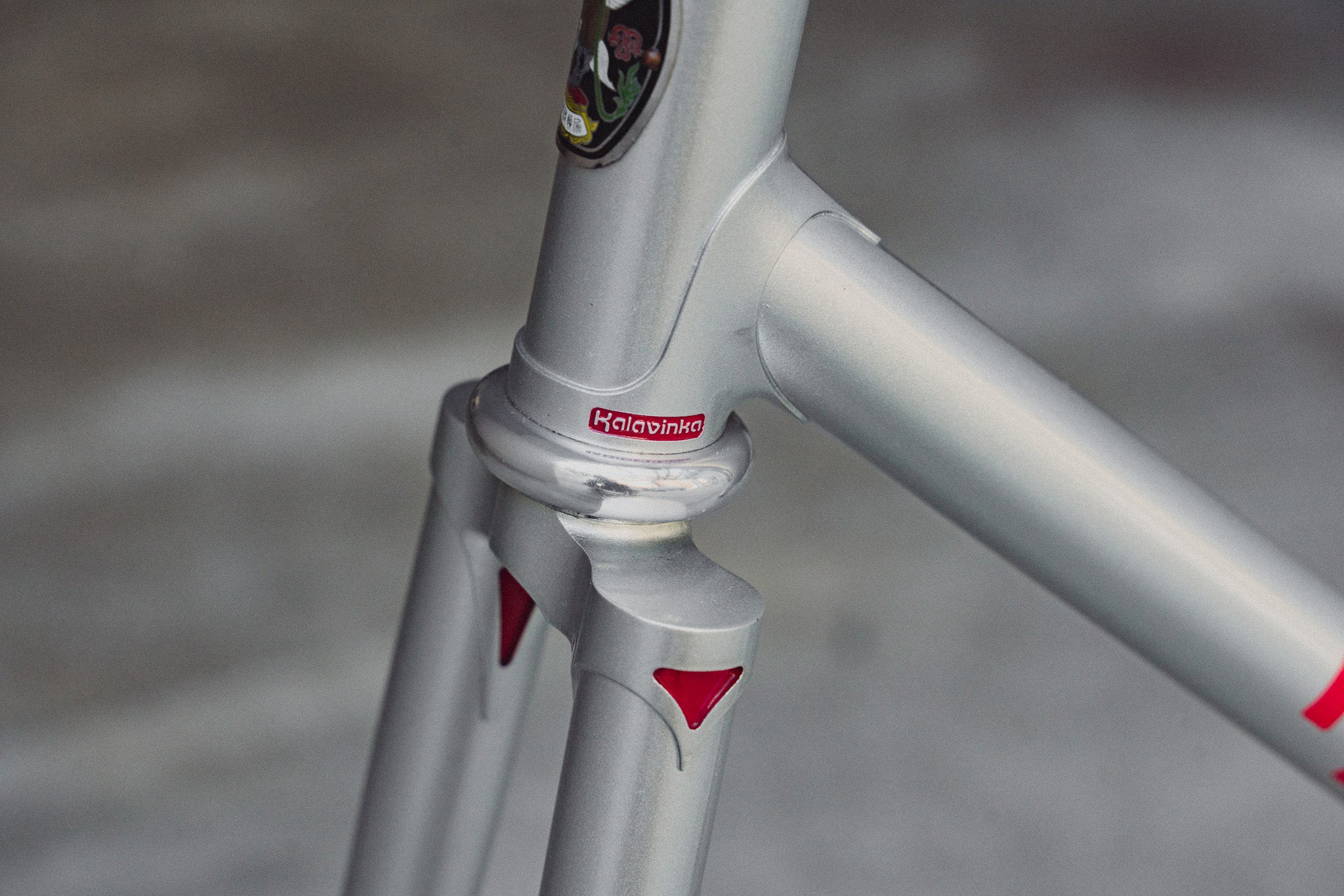 Kalavinka* NJS Frameset - Silver / 53cm – BROTURES GLOBAL