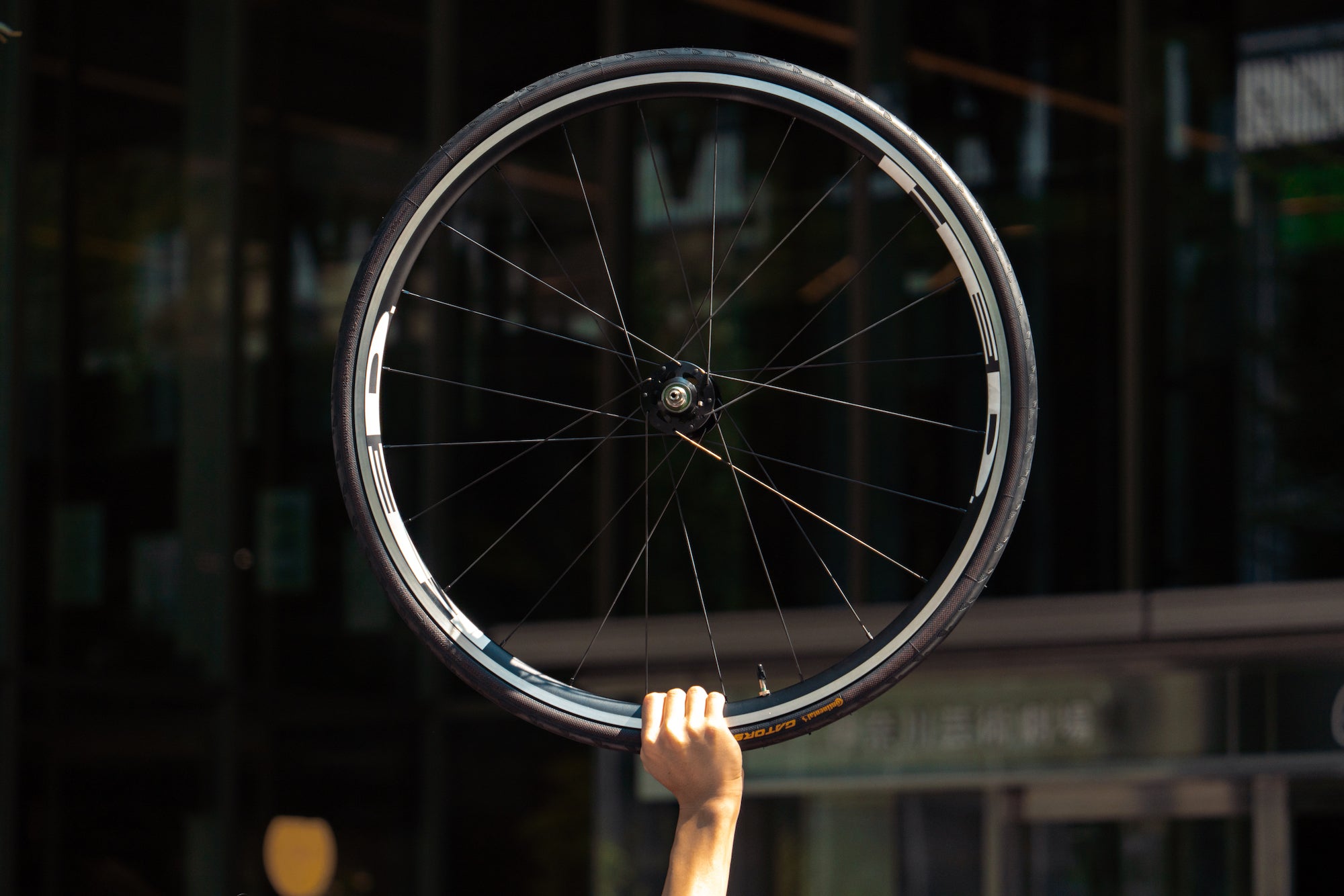 BROTURES loves HED. | ブローチャーズ - BROTURES ONLINE STORE