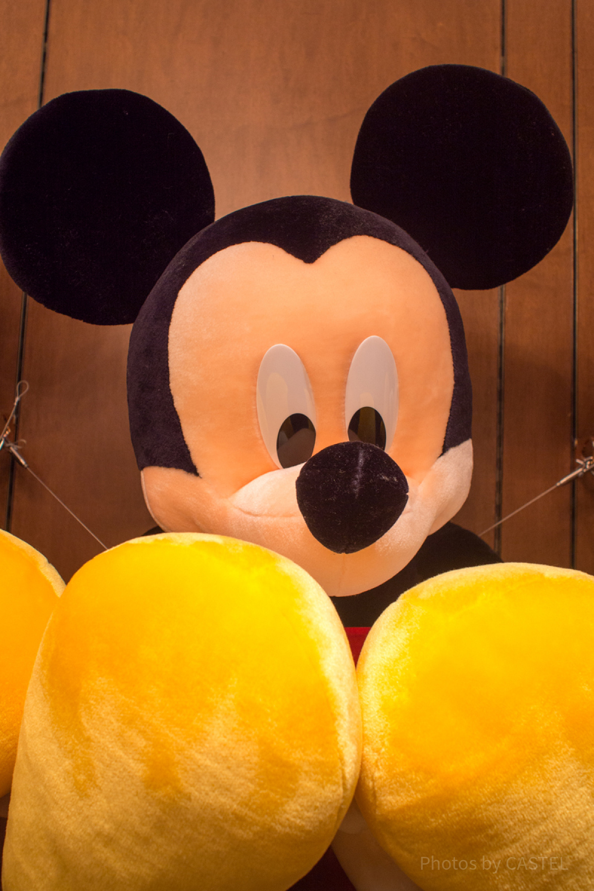ミッキーぬいぐるみ（Lサイズ）| キャステル | CASTEL ディズニー情報