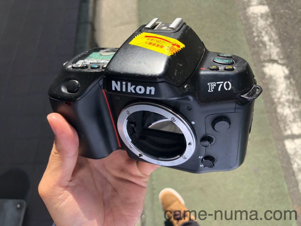 Nikon F70D フィルム写真は画質が悪いのか？ | カメヌマ