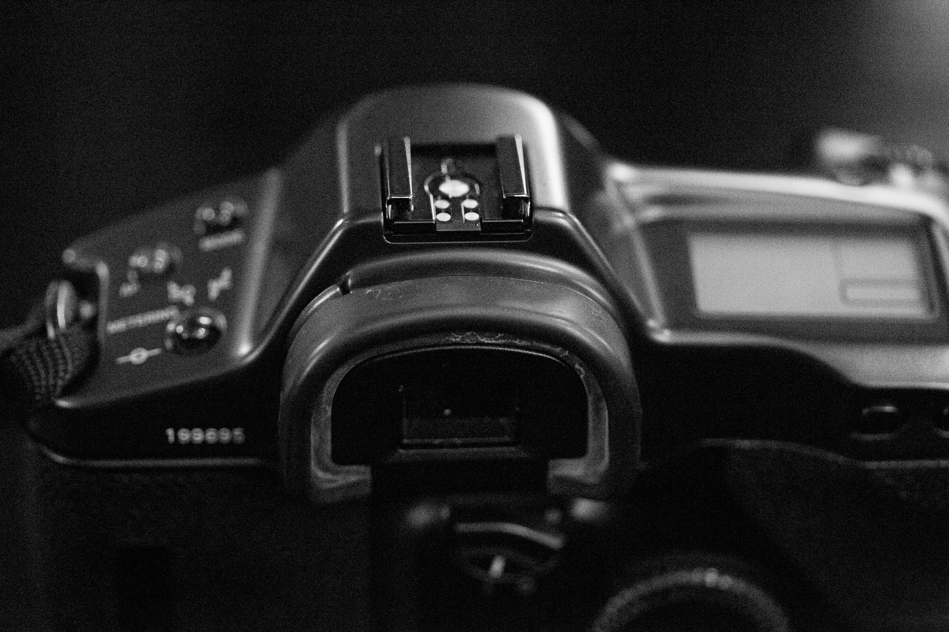 28年後も安心して使える 初代EOS-1｜Camoor -カメラの楽しさを提案する