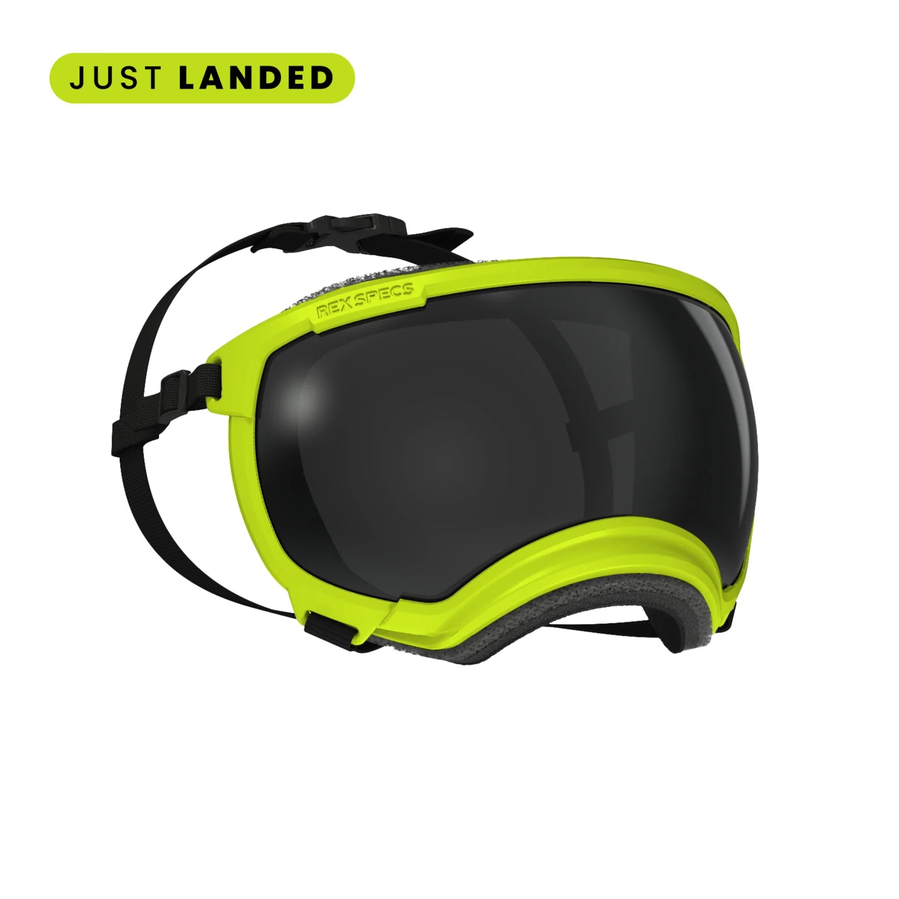 REX SPECS Goggles V2 雪遊び登山スキーで犬の目を守るゴーグル 【即日