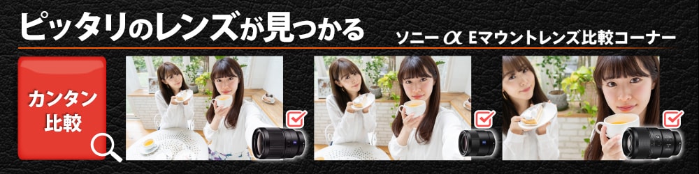 ソニー SEL55210 交換レンズ E 55-210mm F4.5-6.3 OSS (APS-C用ソニーE